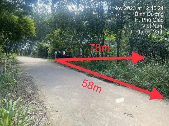Bán đất 3553,7m² có sẵn 200m² thổ cư ngang 58,18m giá 1ty945 tại Xã Phú Giáo
