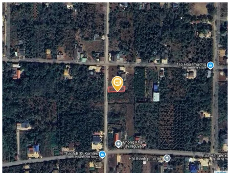 🆘HÀNG VIP KOMLEO FULL THỔ CƯ- 10*34 TC 291