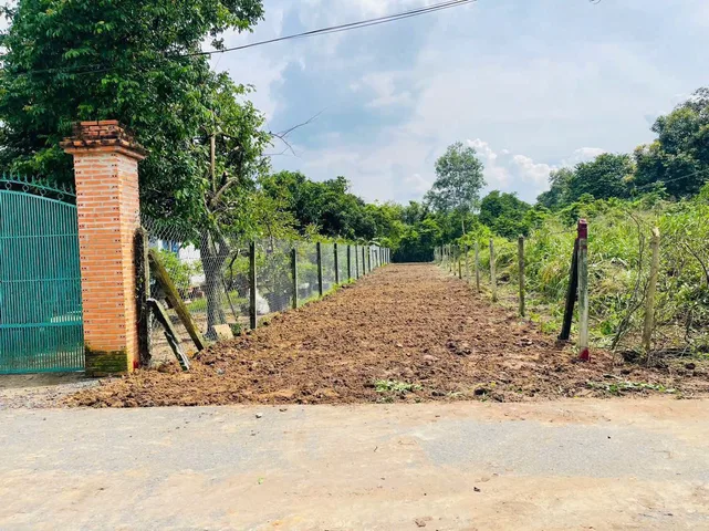 Chủ ngộp cần bán đất 278m2 ,ngay X.An Tịnh , Trảng Bàng Giá 915 triệu