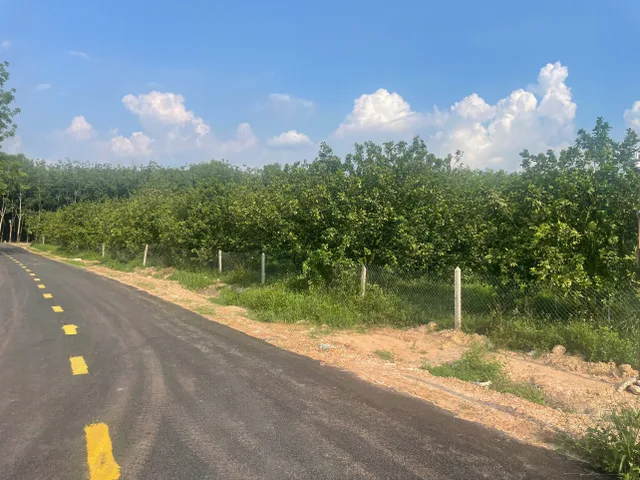 LÔ 17x120 THỔ 100M2. GẦN CỤM CÔNG NGHIỆP. XÂY DÃY TRỌ THU NHẬP ỔN ĐỊNH NGAY. GIÁ RẺ NHẤT KHU VỰC. TRỪ VĂN THỐ - TP.HCM