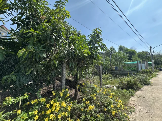 ĐẤT PHÚ GIÁO BÌNH DƯƠNG SIÊU KHỦNG 🥰