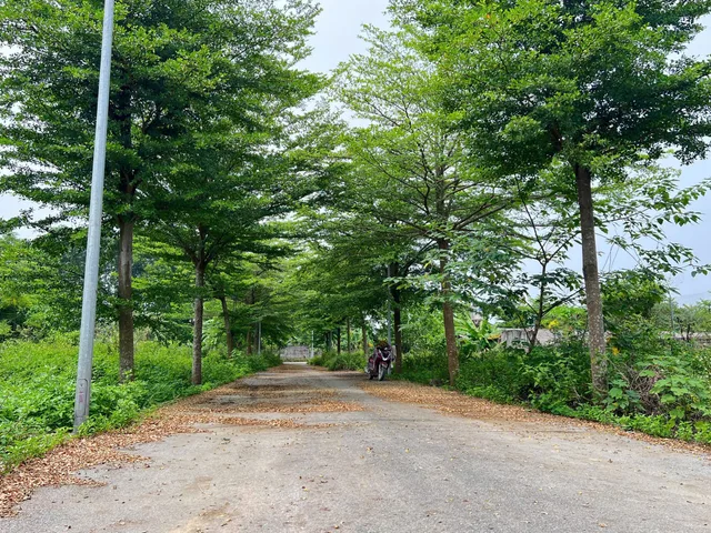 Nhỉnh 2 tỷ cho lô đất có giá trị ở thực tại Hòa Lạc