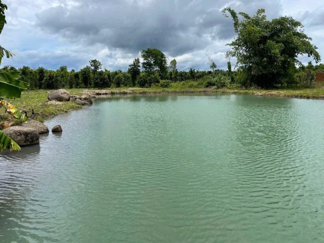 Bán 🌳 Lô đất hơn 1 hec view đẹp siêu hiếm xã Ea Mnang, Cư M’gaả