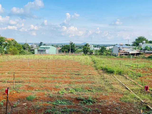 💥 Đất hẻm Bùi Viện