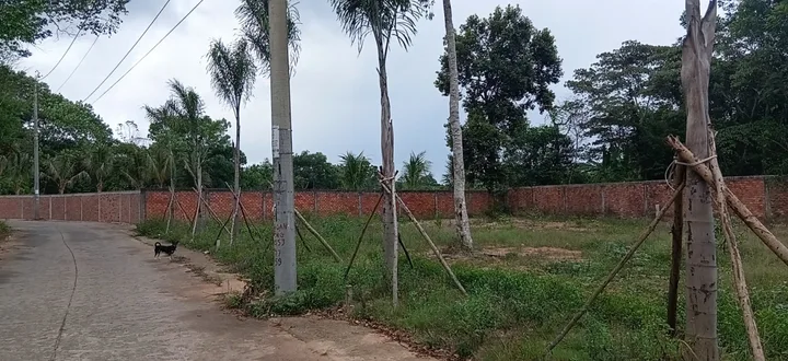 Bán sỉ hoặc lẻ 6 lô đất Phú Quốc, 130m²/lô, ngang 5m, quy hoạch chuẩn, xây dựng ngay.