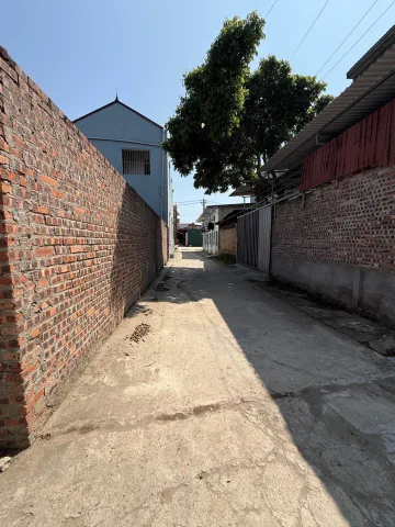 Bán đất tặng nhà phường Mão điền đường thông