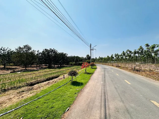 Chủ đang muốn chuyển hướng kinh doanh nên cần ra gấp lô đất xào Bàu Bàng Bình Dương. Dân cư đông, điện 3pha! Gần chợ gần trường...