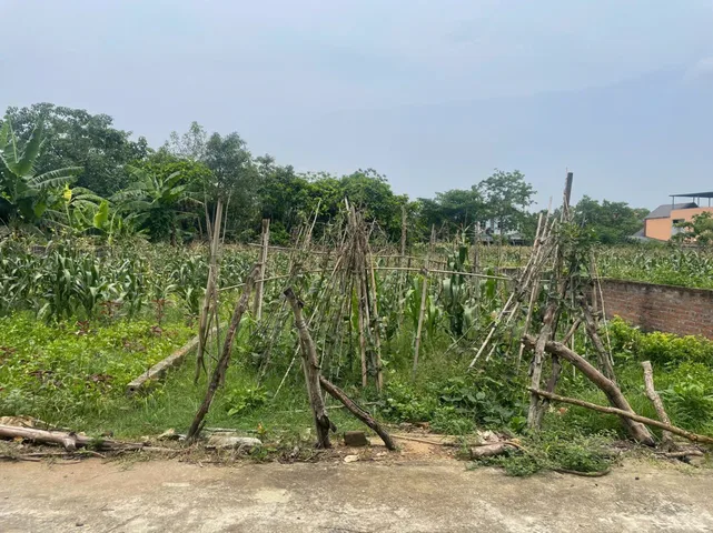 🔥 SIÊU PHẨM ĐẦU TƯ ĐỒNG VÀNG – PHÚ MÃN – QUỐC OAI 🔥