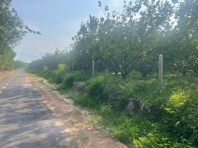 BÁN GẤP LÔ 2.000M². XÂY TRỌ LÝ TƯỞNG. XE Ô TÔ VÀO DỄ GẦN KCN. CÁCH QL13 CHỈ 1,5KM. TRỪ VĂN THỐ - TP.HCM