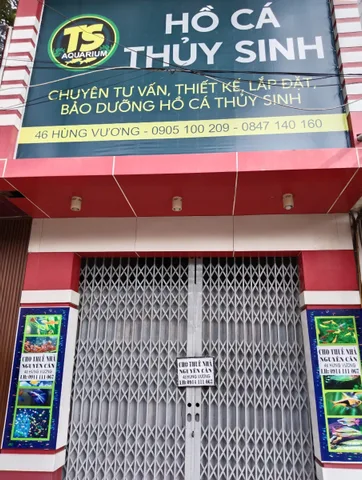 Bán nhà 58.8m² full thổ cư ngang 4.2m giá 14 tỷ tại Phường Tự An Thành phố Buôn Ma Thuột