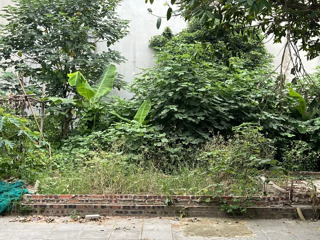 🔥 SIÊU PHẨM PHÂN LÔ TÁI ĐỊNH CƯ THANH AM - VỈA HÈ RỘNG - KINH DOANH ĐỈNH - CHỈ HƠN 10 TỶ! 🔥