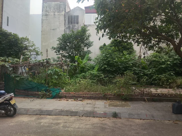 Bán đất TDC Việt Hưng 50m² mt 4.5m vỉa hè 2 oto tránh tại Đường Thanh Am Phường Việt Hưng