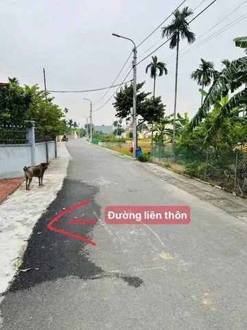 🎉🎉🎉CHỈ CÒN DUY NHẤT 1 LÔ GIÁ MỀM TẠI ĐÔNG SƠN.l/h:076,231.9990 em Thuý

🍀TDP 6 (Đông Sơn cũ) – phường Lưu Kiếm, Thuỷ Nguyên
 • Diện tích: 59,9m² (mặt tiền 5,14m)
 • Ngõ rộng 2 – 2,5m (xe máy tránh thoải mái)
 • Cách đường li