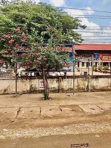 Bán đất gần trường học