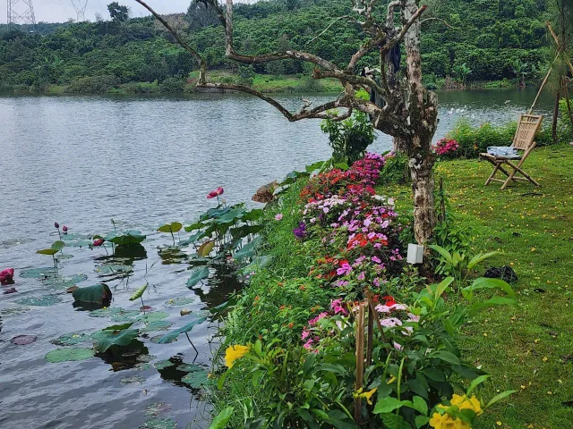 Bán khu đất view hồ Di Linh thích hợp làm homestay và làm sinh thái nghỉ dưỡng.. Vv