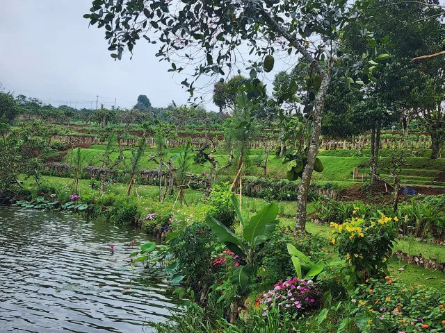 Bán khu đất view hồ Di Linh thích hợp làm homestay và làm sinh thái nghỉ dưỡng.. Vv