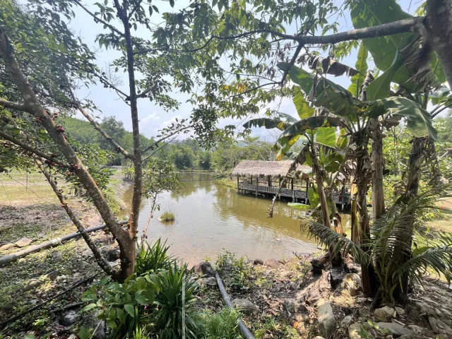 Farm Hòa Bắc 14714m2 giá 5 tỷ 500 📌📌📌LÀM VIỆC TRỰC TIẾP GIÁ TỐT !!!