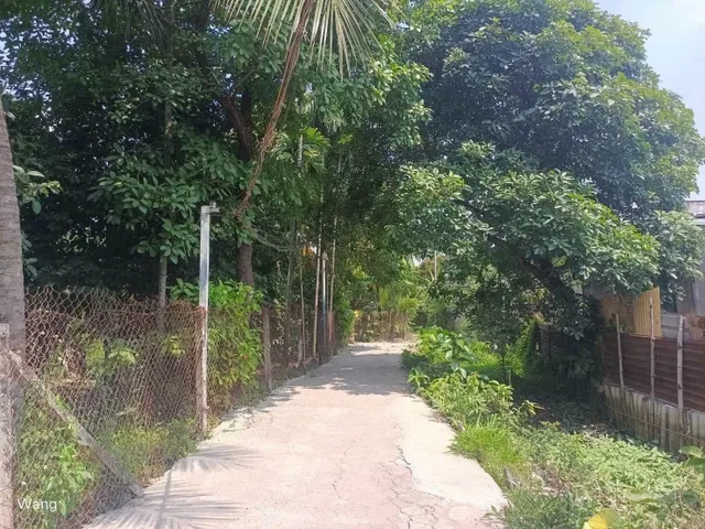 Bán Nhà riêng 114,8m² thổ cư 60m² giá 3.1 tỷ tại Phường Lái Thiêu TP. Hồ Chí Minh