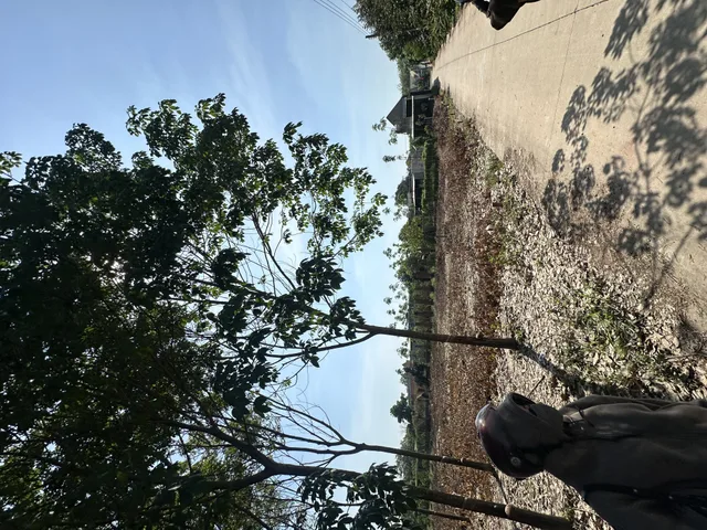 Bán Đất 200m² thổ cư 100m² giá 300 triệu tại Xã An Linh Huyện Phú Giáo Bình Dương