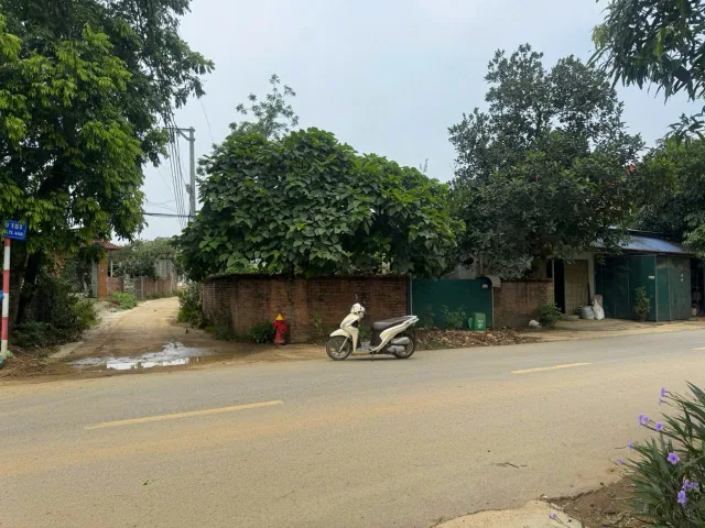 BÁN LÔ GÓC 2 MẶT TIỀN ĐƯỜNG 446 – VỊ TRÍ ĐẸP, GIÁ TỐT