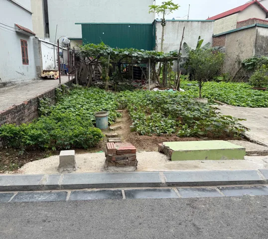 Bán Đất 50m² thổ cư 50m² giá 5.05 tỷ tại Xã Hải Bối Huyện Đông Anh Hà Nội