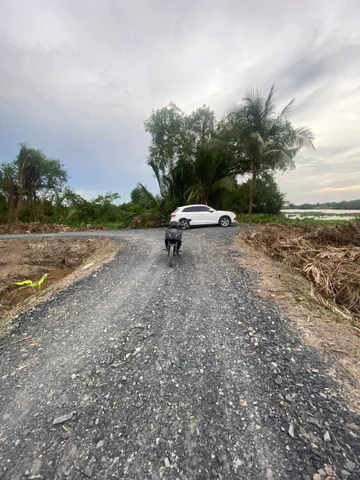 Bán đất mt sông Vàm Cỏ Đông, xã Lương Hòa dt 1000m2 ( 300m2 thổ ) đường oto đá xanh giá 3 tỷ