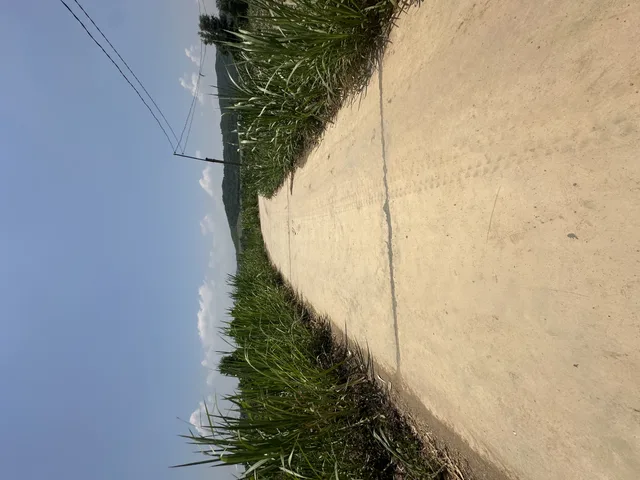 Bán Đất 25000m² thổ cư 100m² giá 1.5 tỷ/ ha tại Xã Ninh Sơn Khánh Hòa