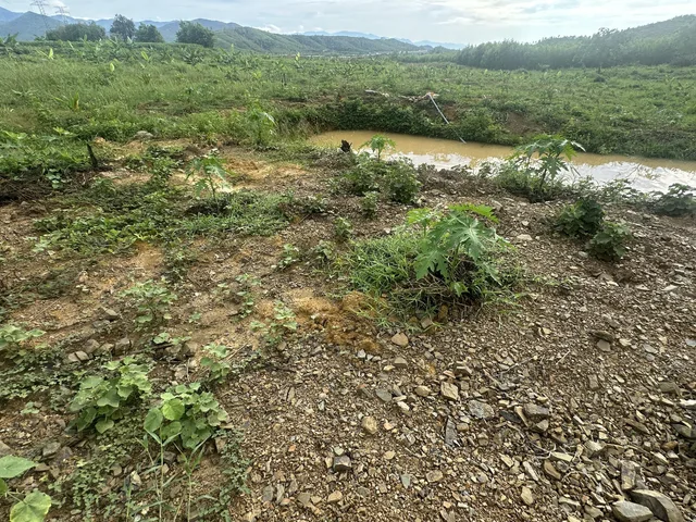 Bán Đất 55000m² giá 4.13 tỷ tại Xã Bắc Ninh Hòa Khánh Hòa