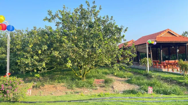 GIÁ RẺ NHẤT KHU VỰC Bán Đất 1800m² thổ cư 100m² giá 960 triệu tại đường Quốc Lộ 13 Xã Trừ Văn Thố Huyện Bàu Bàng Bình Dương