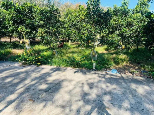Bay bay bay lô đất 213m² thổ cư 100m² giá 500 triệu tại TP. Hồ Chí Minh mới