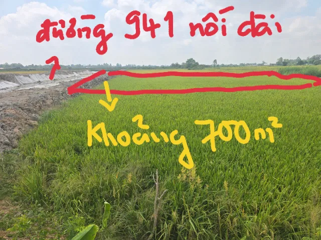 Bán Đất 750m² giá 1.15 tỷ tại đường Tỉnh lộ 941 Phường Bình Đức An Giang