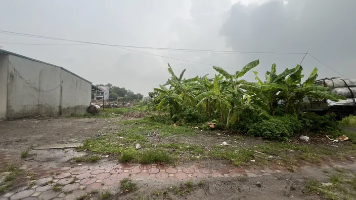 Cho thuê Đất 504m² thổ cư 504m² giá 10 triệu/ tháng tại Phường Hà Nam Ninh Bình