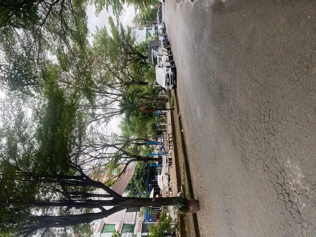 Bán Đất Mặt tiền , view công viên FULL thổ cư,  92m²  giá 11.3 tỷ