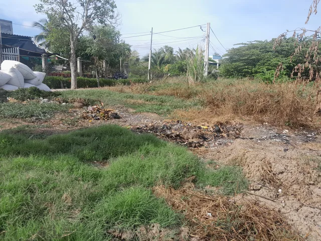 Bán Đất 485m² giá 500 triệu tại Đường Huyện 02 Xã Bình Nghị Huyện Gò Công Đông Tiền Giang