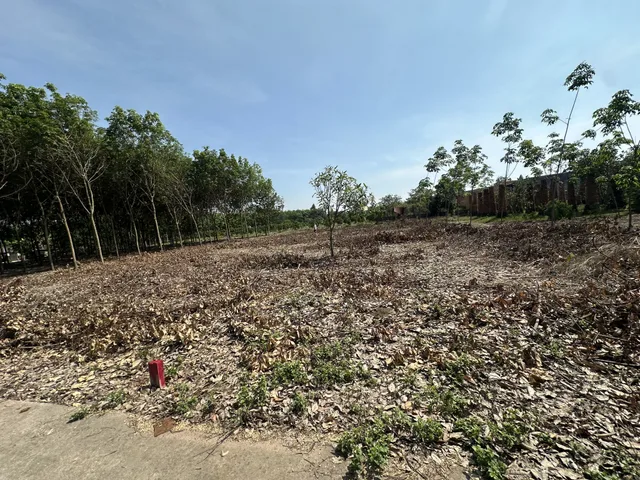 Bán Đất 200m² thổ cư 100m² giá 393.9 triệu tại Xã An Linh Huyện Phú Giáo Bình Dương giá như nay❤️‍🔥❤️‍🔥