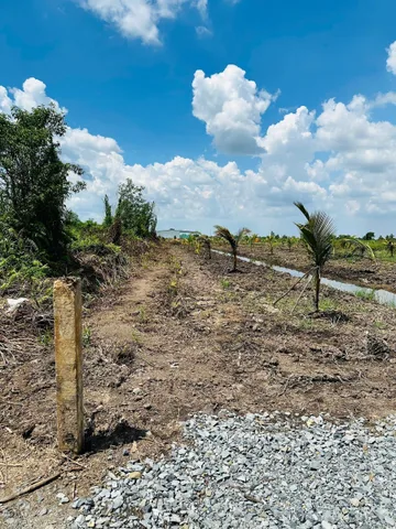 Cho thuê Đất 1000m² giá 1 triệu/ tháng tại Đường Đt 818 (Đh 6) Xã Tân Thành Huyện Thủ Thừa Long An