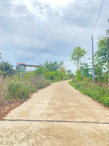 Bán Đất 1866m² thổ cư 100m² giá 800 triệu tại Xã Ea Nuôl Đắk Lắk