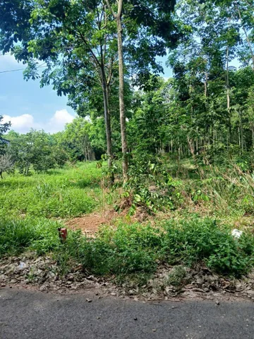 Bán Đất 300m² thổ cư 100m² giá 450 triệu tại Đường DH507 Xã An Linh Huyện Phú Giáo Bình Dương
