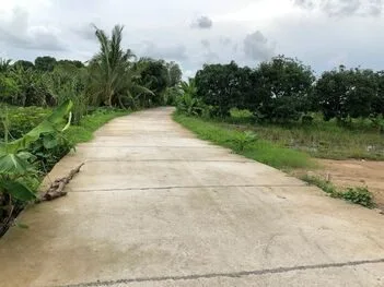 🍀 BÁN QUỸ ĐẤT GẦN 3HA TẠI NHƠN ÁI 🍀