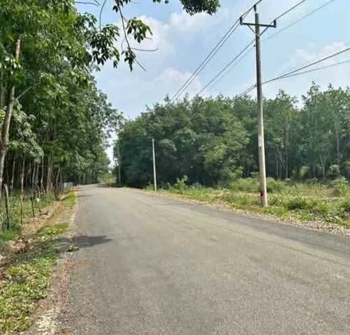 Bán Đất 1000m² giá 350 triệu tại Đường Xã Minh Thành Xã Minh Thành Thị xã Chơn Thành Bình Phước
