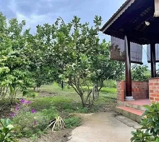 Bán Đất 1500m² thổ cư 100m² giá 2.1 tỷ tại đường Tỉnh lộ 750 Thị trấn Lai Uyên Huyện Bàu Bàng Bình Dương