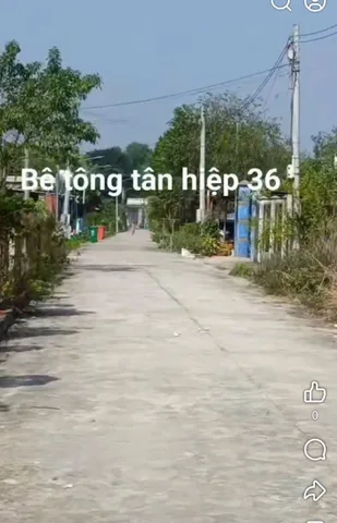 Bán Đất 160m² thổ cư 100m² giá 620 triệu tại Xã Tân Hiệp Huyện Phú Giáo Bình Dương