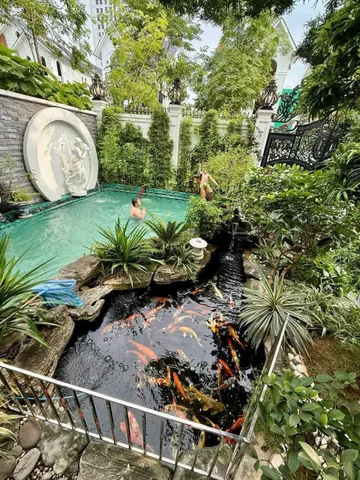 Bán 🏡 BIỆT THỰ ĐẲNG CẤP KHU C GELEXIMCO LÊ TRỌNG TẤN, HÀ ĐÔNG – 240M² – 4 TẦNG – THANG MÁY KÍNH – BỂ BƠI RIÊNG – HỒ CÁ KOI – NỘI THẤT SIÊU SANG – GIÁ 47,5 TỶ 📞 0982 318 676 Nga