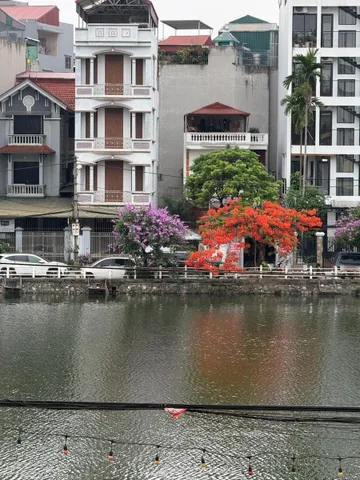 Bán Nhà riêng 176m² thổ cư giá 52.9 tỷ tại Đường Bồ Đề Phường Bồ Đề Hà Nội