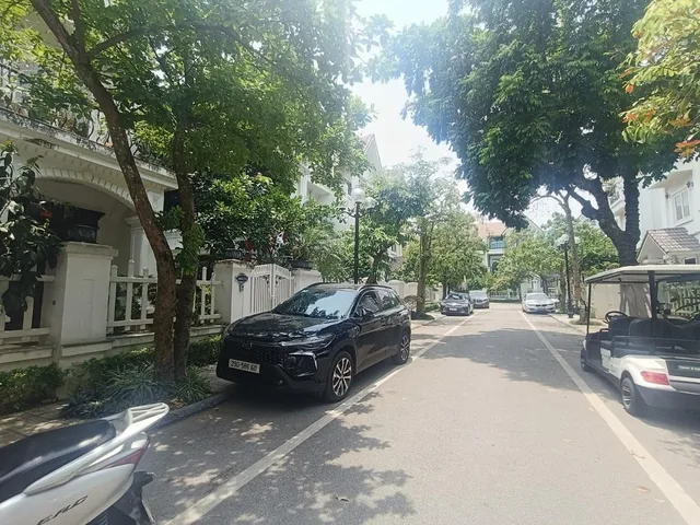 Bán Nhà riêng 162m²  giá 75 tỷ tại Đường Anh Đào 4 Phường Phúc Lợi Quận Long Biên Hà Nội