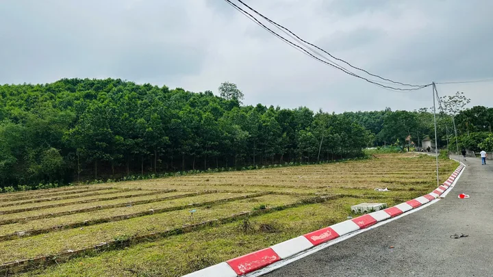 Chỉ hơn 225 triệu có ngay đất nền tại Xã An Bình Huyện Lạc Thủy, cơ hội vàng cho nhà đầu tư thông thái!