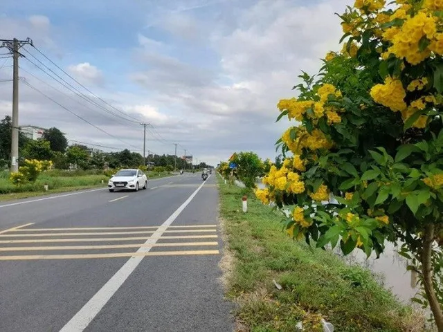 ĐẤT VƯỜN PHONG ĐIỀN – GIÁ ĐẦU TƯ HẤP DẪN