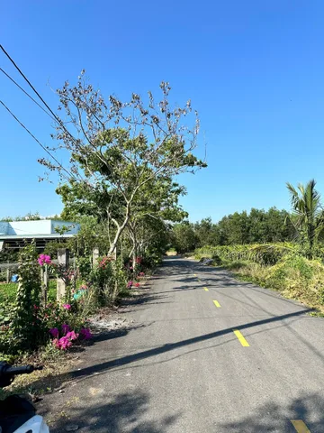 Bán Đất 3099m² thổ cư 160m² giá 9.1 tỷ tại Xã Bưng Riềng Huyện Xuyên Mộc Bà Rịa - Vũng Tàu