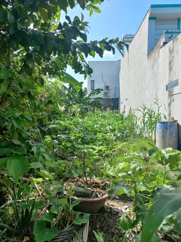 Bán Đất 751m² thổ cư 6m² giá 2 tỷ tại Đường Đx-040 - Đường Loại 5 Phường Phú Mỹ Thành phố Thủ Dầu Một Bình Dương