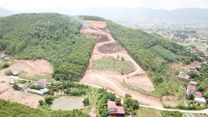 Bán đất 19070m² ngang 130m giá 3.9 tỷ tại Xã Bắc Lũng